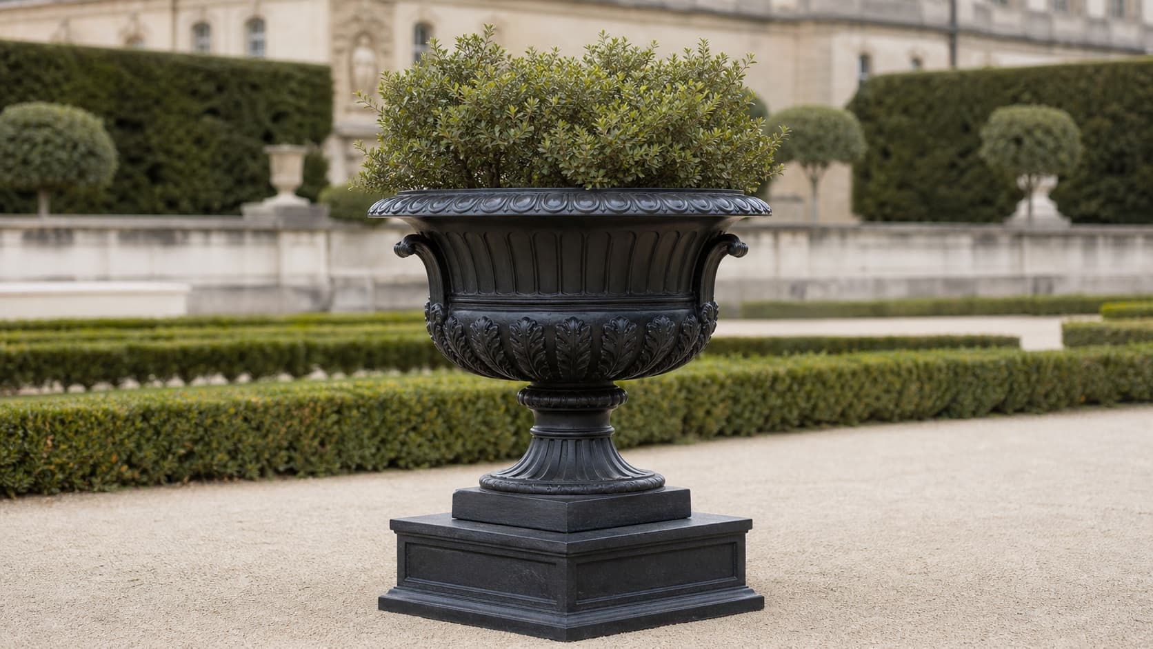 Vase medicus